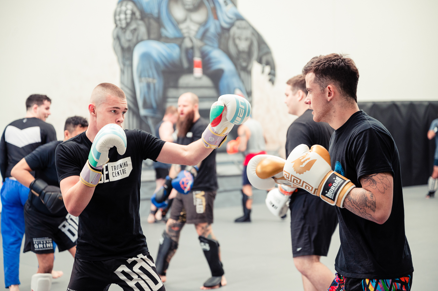 Striking | Base Training Centre | Brisbane MMA & BJJ